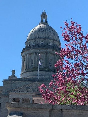 2021 Photo Gallery — photo 2